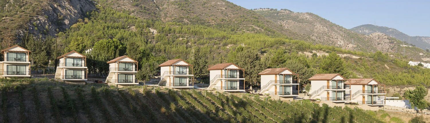 Gillham Vineyard Hotel - 2