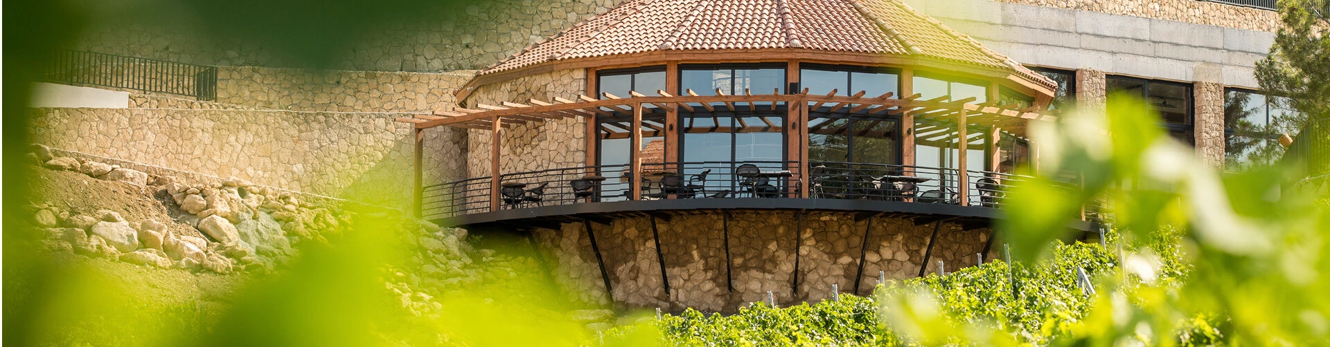 Gillham Vineyard Hotel
